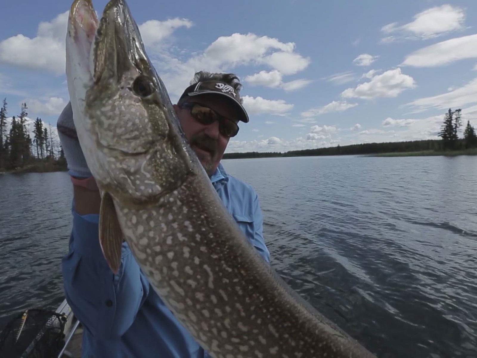 Watch Prime Revolution - Season 1 | Prime Video