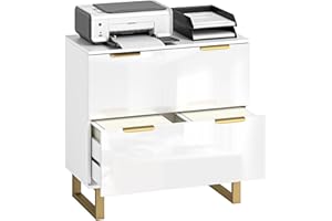 HOMCOM 2 Drawer File Cabinet, Lateral Filing Cabinet with Adjustable Rails for Letter/A4/Legal Size Files, Modern Printer Sta