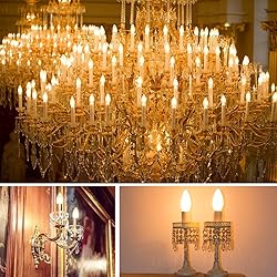 B11 E12 Candelabra LED Bulbs 60 Watt