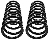 MOOG 81119 Coil Spring Set for Nissan Pathfinder