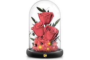 HZQVA Valentines Day Flowers Roses Gifts, Preserved Rose in Glass Dome, Real Rose That Last 2 to 3 Years, Gifts for Her, Valentine's Day, Mother's Day, Birthdays, Christmas, Anniversaries (Pink)