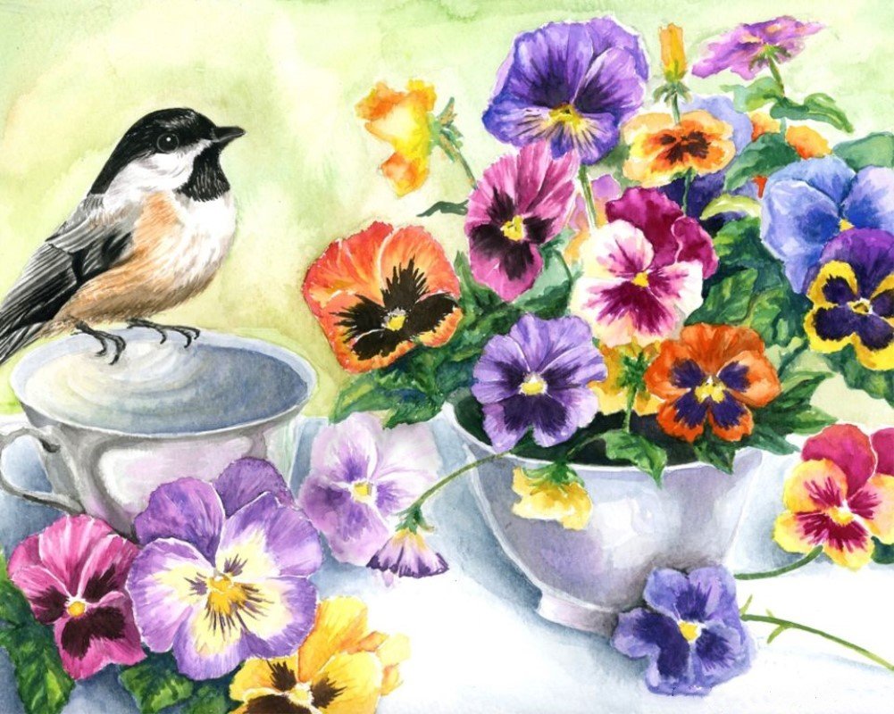 WOWDECOR Art Supplies Bird Pansy Flowers DIY Paint by Numbers Kits 40 x 50cm with Painting Brushes Canvas (No Frame)