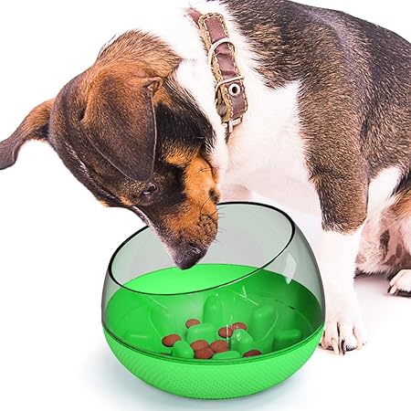 amazon dog slow feeder