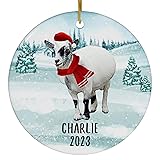 Santa Hat and Scarf Welcome Winter White and Gray
