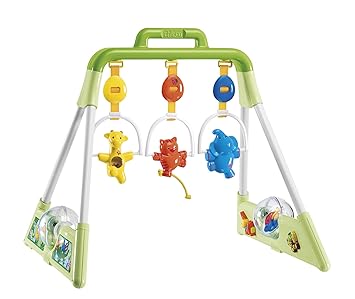 chicco baby gym