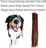 Britten & James 10 Thick Bulls Pizzles 12cm Dog Chews Natural Dental Sticks view 5