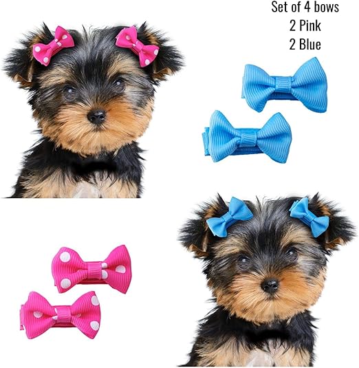 female dog bows