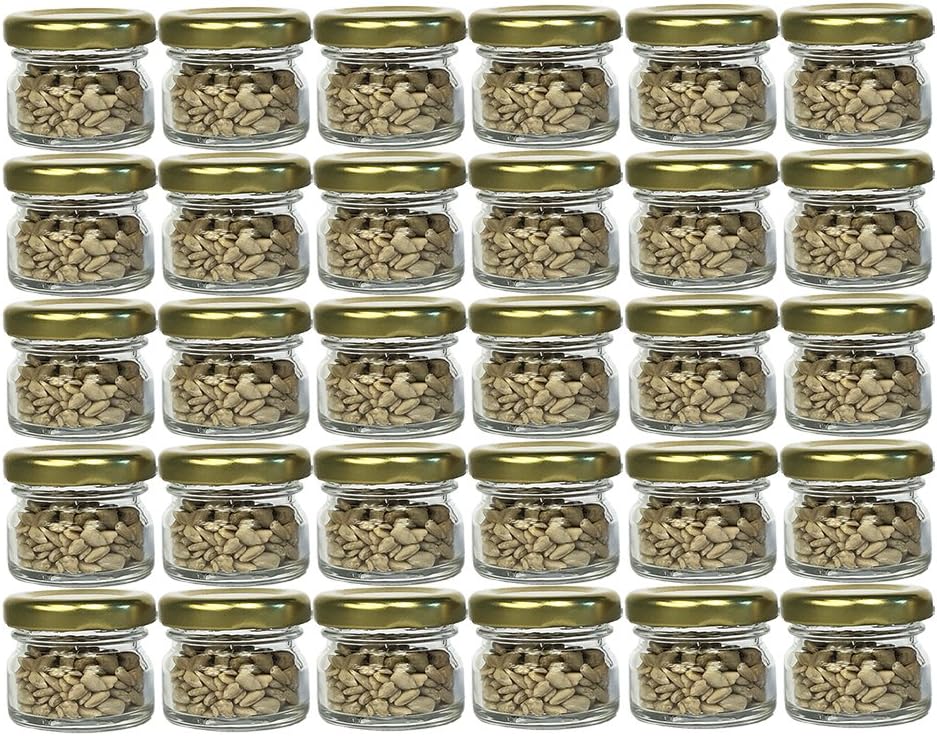 Set of 30 lintel jars mini jars | Capacity 30 ml | Lid colour gold | To 43 round jars jam jars fruit jars preserving jars honey jars preserving jars portion jars tasting jars beekeeper