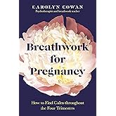 Breathwork for Pregnancy: How to Find Calm throughout the Four Trimesters