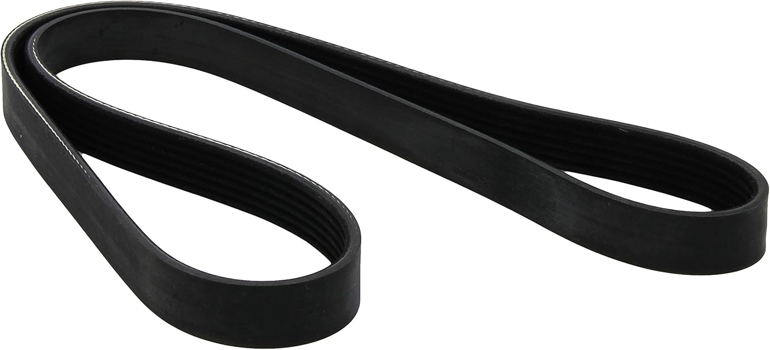 Dayco 6PK1195 Correa trapecial poli V: Amazon.es: Coche y moto