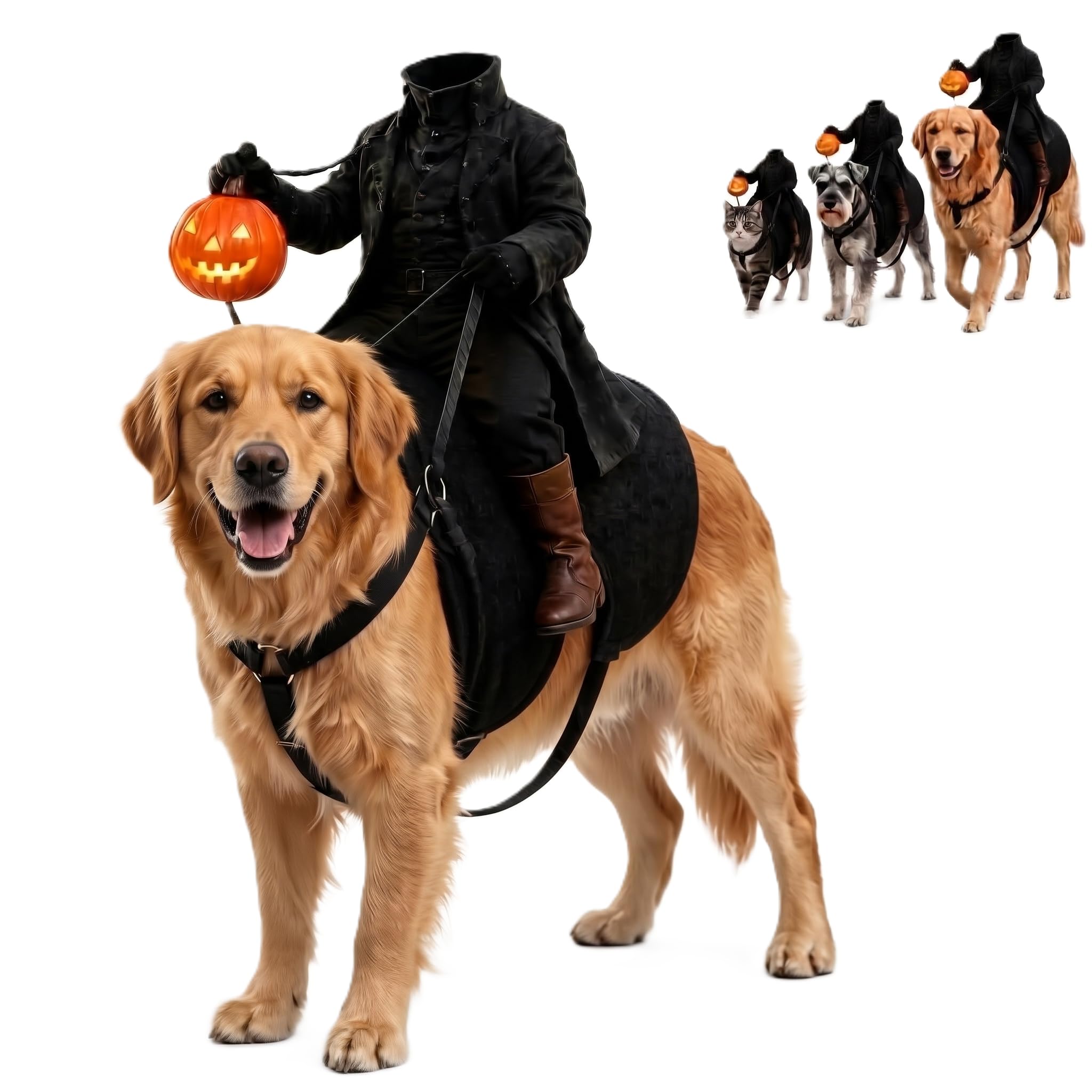 Light Up Headless Horseman Pet Costume for Dogs and Cats S/M/L (L) | Halloween Pumpkin Rider Costume with Adjustable Harness,