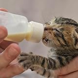 Aidiyapet Kitten Bottles 18Pack Feeding Syringe Nipple Kit for Newborn Pets view 5