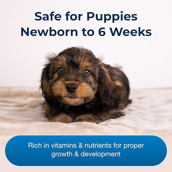 PETAG ESBILAC PUPPY MILK REPLACER LIQUID – 11 OZ – READY-TO-FEED PUPPY FORMULA WITH VITAMINS FOR PUPPIES NEWBORN TO SIX WEEKS OLD – EASY TO DIGEST