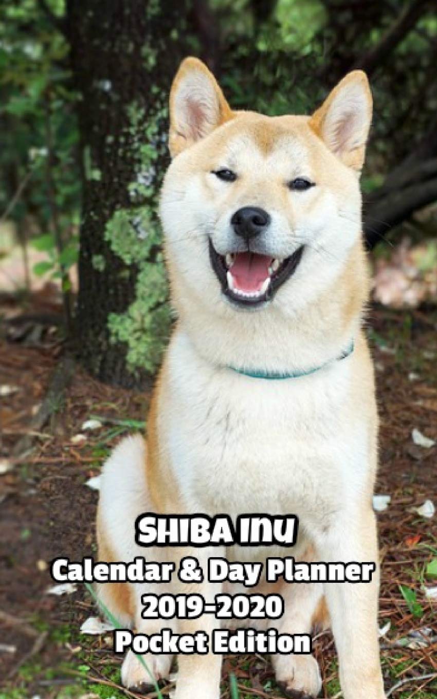 shiba inu day