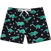 MTXXTZ Boys Swim Trunks Quick Dry Board Shorts Swimwear Trunks Hawaii Beach Swimsuit Toddler Bathing Suit Bottom Kid 2-8Years