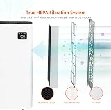 Amazon Basics Replacement Filter for Air Purifier True HEPA 12 m² view 5
