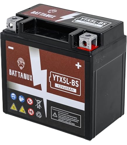 ACDelco AUX12 Professional Automotive AGM JIS 12BS Battery