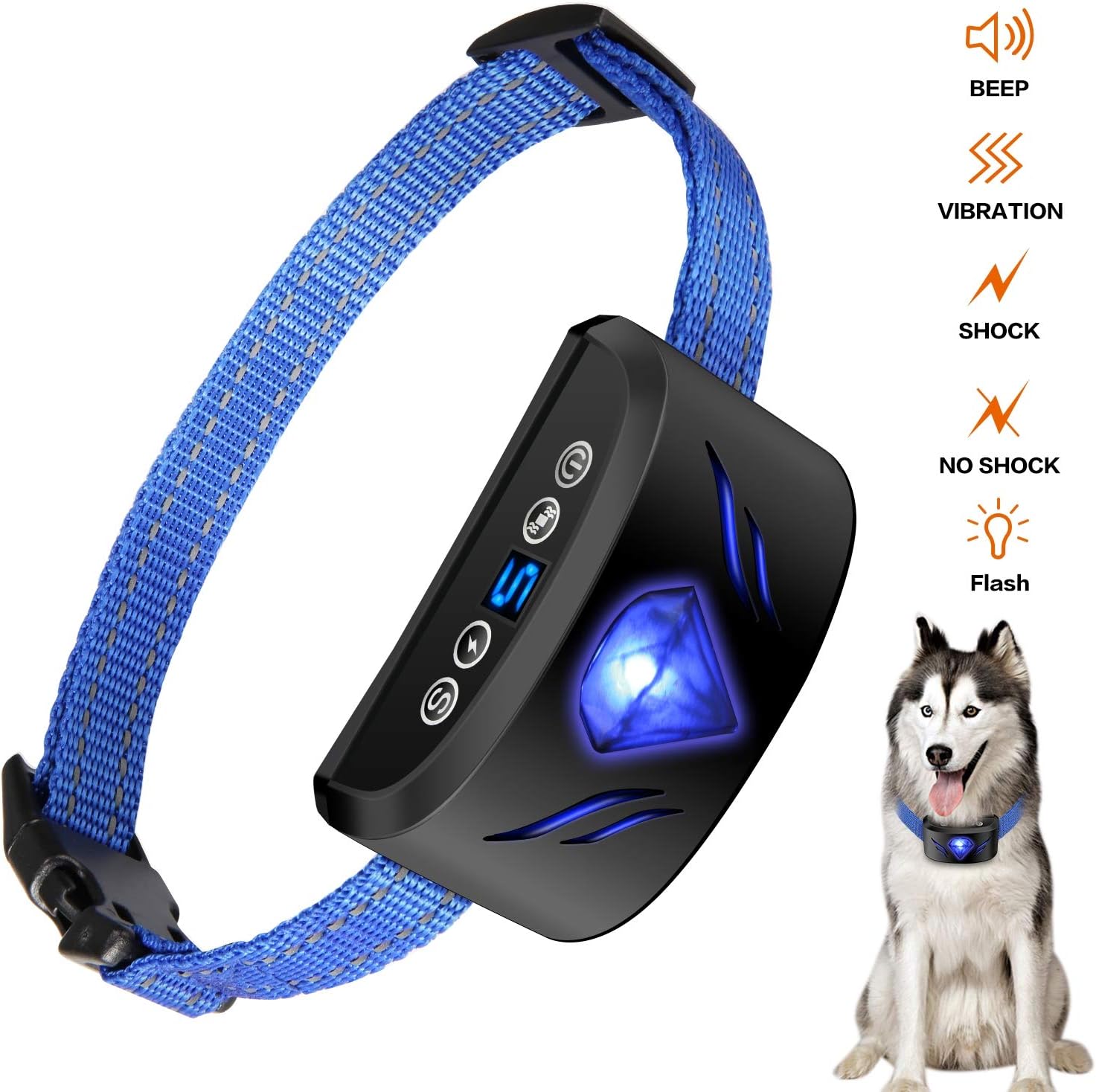 bark collar at night