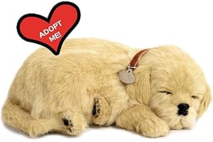Perfect Petzzz - Original Petzzz Golden Retriever, Realistic, Lifelike Stuffed Interactive Pet Toy, Companion Pet with 100% Handcrafted Synthetic Fur