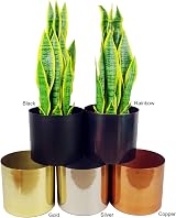 Leaf Realistic Ficus Tree Twisted Copper 120 cm Indoor Plant view 5