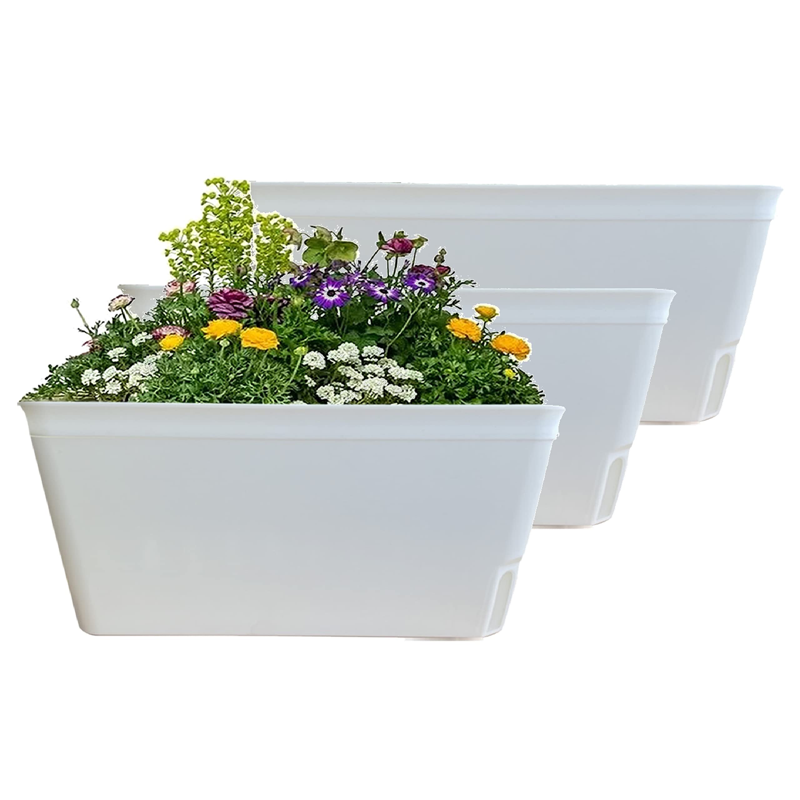 Olly & Rose Lazy Planters - Self Watering Planters - Pack of 3 - Matt White Self Watering Plant Pots (White)
