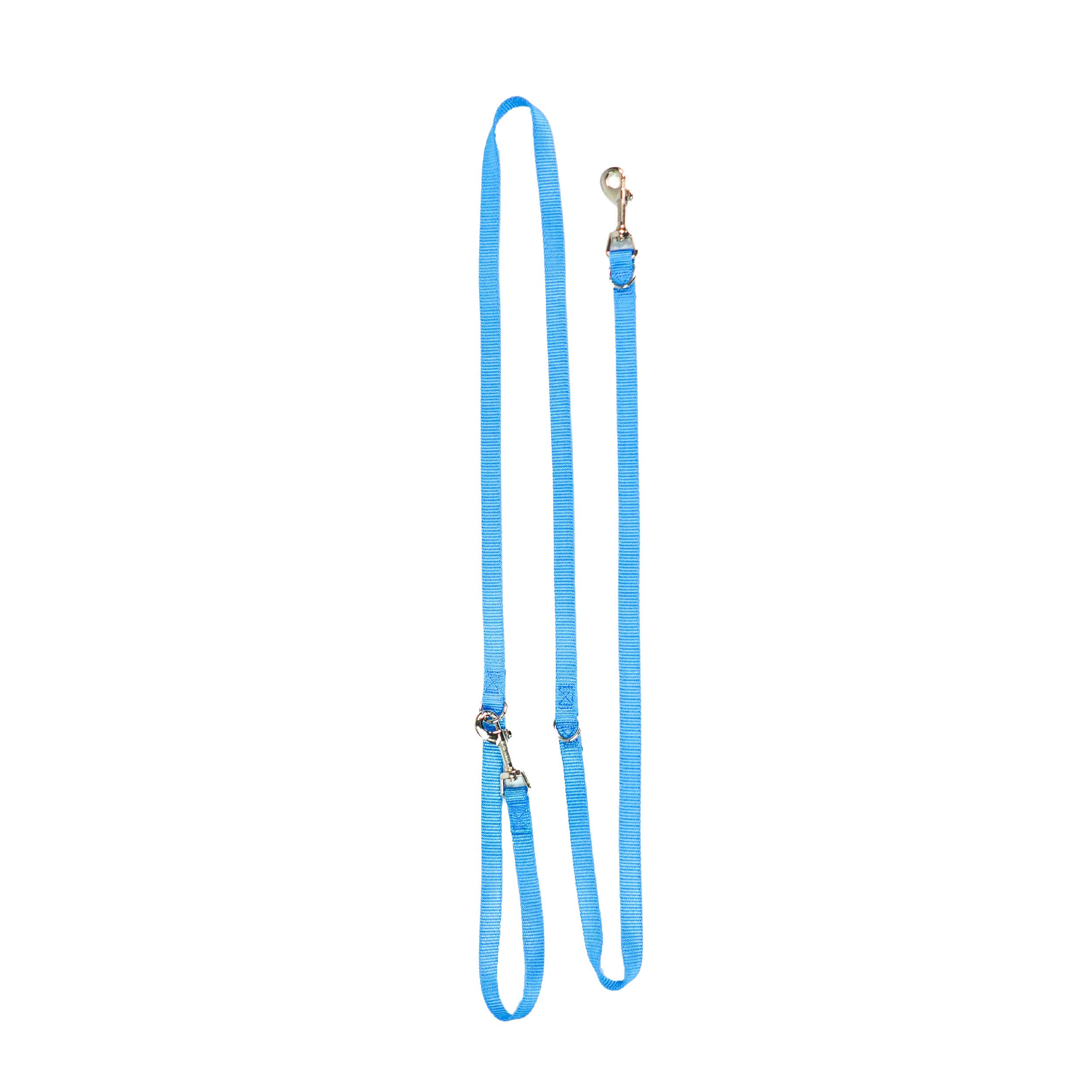 Blue-9 Multi-Function Leash, Small, Sky Blue