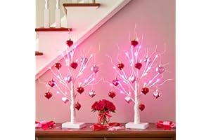 EAMBRITE Valentines Day Decorations 2Pack Birch Tree with Hanging Heart-Shaped Ornaments, Lighted Artificial Trees with 24 LED Pink&Red Lights, Light Up Twig Tabletop Battery Operated for Home Indoor Table
