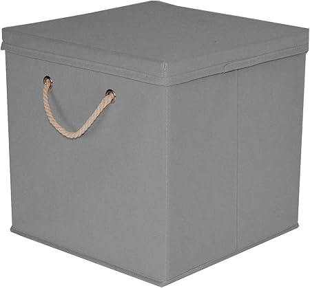 Caja de almacenaje, 30 x 30 x 30 cm, con tapa, gris claro, 1 unidad: Amazon.es: Hogar