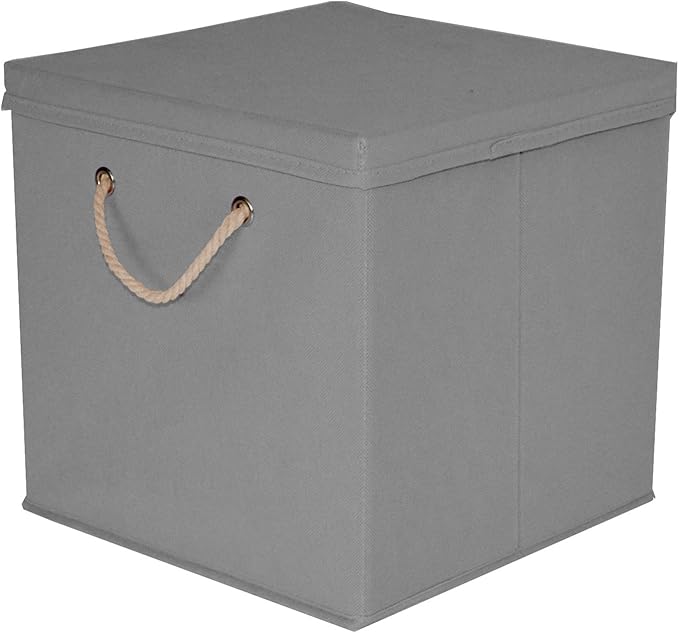 Caja de almacenaje, 30 x 30 x 30 cm, con tapa, gris claro, 1 unidad: Amazon.es: Hogar