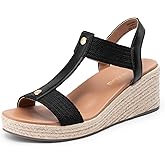 DREAM PAIRS Women's Wedge Sandals Open Toe Espadrilles Sandals Comfortable Dress Casual T-strap Platform Wedges with Arch Support for Walking Beach Summer Shoes