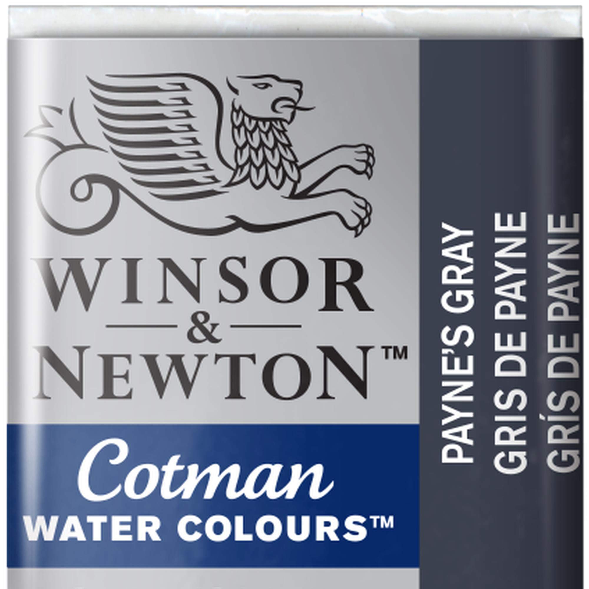 Winsor & Newton 0301696 Cotman Watercolour Paint – Payne's Grey, 1.9x1.6x1.1 cm