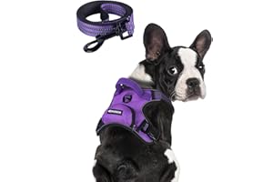 BUMBIN Dog Harness for Large Dogs, No Pull Adjustable No Choke Pet Vest with Dog Leash Fit Smart Reflective Pet Walking Harness for Training Easy Control Soft Handle Purple M