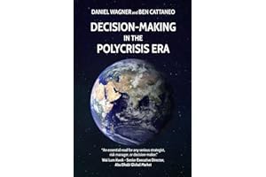 Decision-Making in the Polycrisis Era