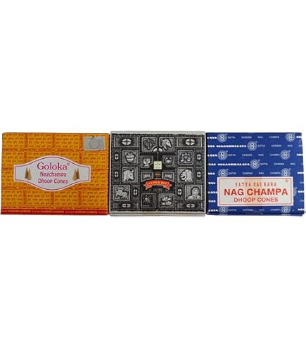 Boîte Encens Backflow 24 Cônes Percés Nag Champa Satya Sai Baba - 5576