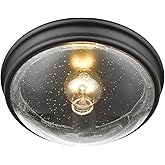Millennium 5226-MB Transitional One Light Flushmount in Black Finish