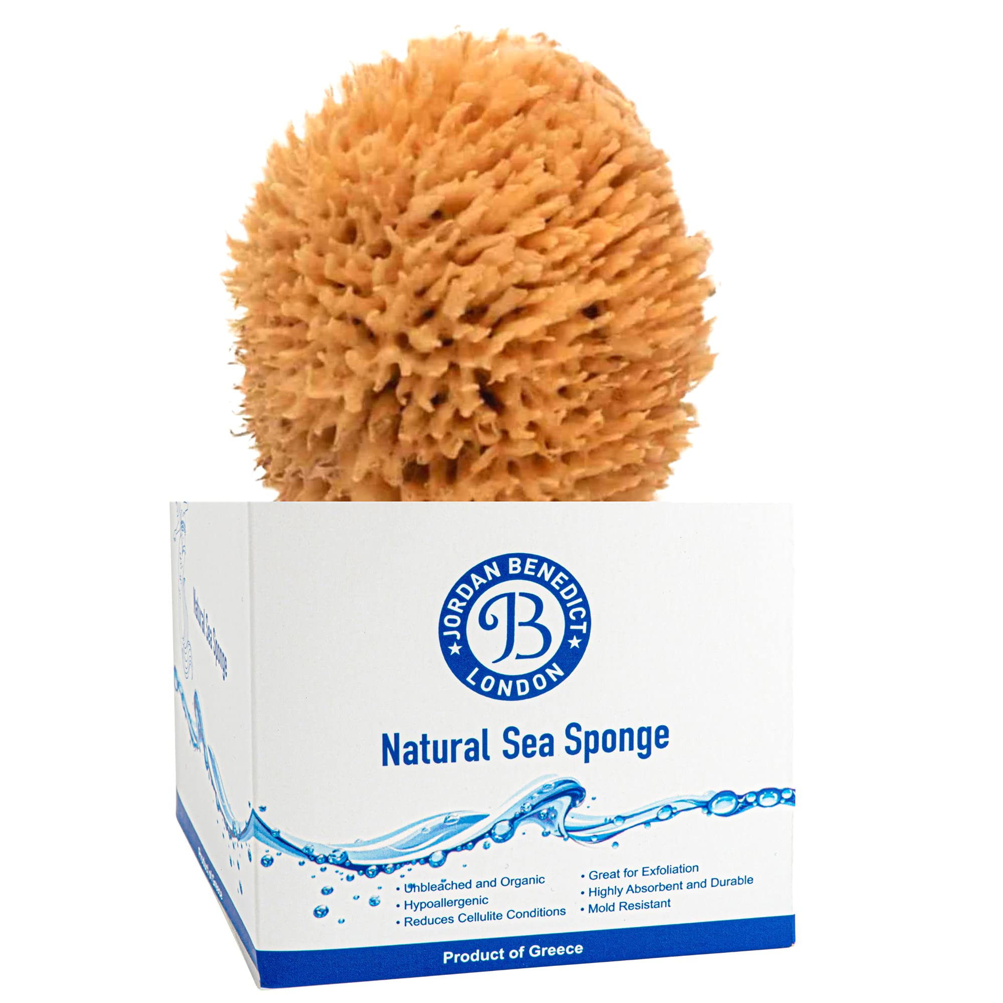 Jordan Benedict Soft Wool Sea Sponge Baby Sponges for Bath, Adults and Children, Shower Sponge, Natural Sponge, Harvested from the Mediterranean Hypoallergenic Organic Exfoliating Bath Sponges