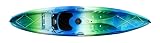 Perception Tribe 11.5 | Sit on Top Kayak for All-Around Fun | Large Rear Storage with Tie Downs | 11' 5" | Déjà vu