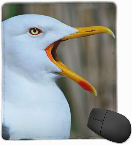 Amazon 海鳥 鳥 カモメ マウスパッド 小型 ゲーミング オフィス おしゃれ 防水 耐久性が良い 滑り止めゴム底 疲労軽減 可愛い かわいい サイバーカフェ 30 25 0 3cm Doinbboo パソコン 周辺機器 通販