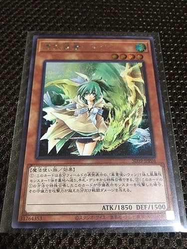 Amazon 遊戯王 憑依装着 ウィン シークレット ストラクチャーデッキ 精霊術の使い手 霊術覚醒パック 霊使い 303 おもちゃ ホビー