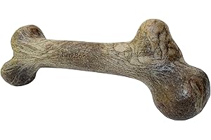 Pet Qwerks Dinosaur BarkBone - Nylon Dog Bone for Aggressive Chewers - Bacon Flavor - 9.75"