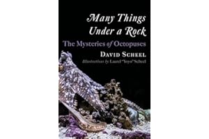 Many Things Under a Rock: The Mysteries of Octopuses