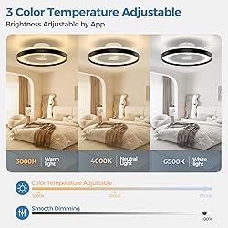 Modern Ceiling Fans with Lights - 19 inch Low