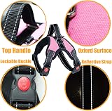 Musonic No Pull Dog Harness with Leash Included Red Adjustable Comfort view 3