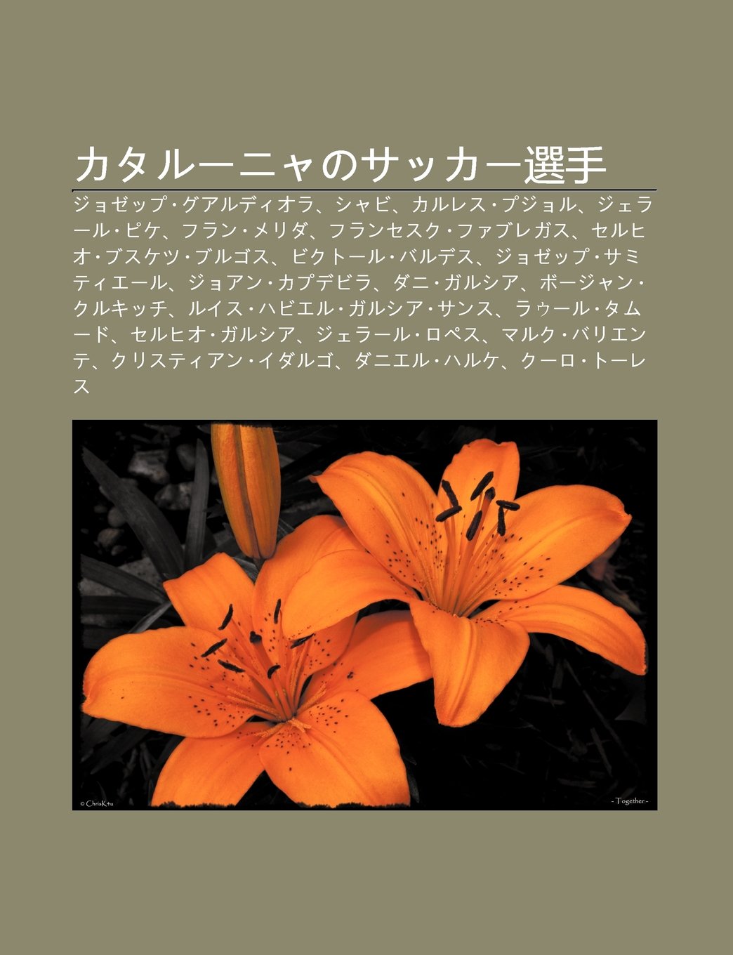 Katar Nyanosakk Xu N Sh U Jozeppu Guarudiora Shabi Karuresu Pujoru Jer Ru Pike Furan Merida Furansesuku Faburegasu S Su Wikipedia 本 通販 Amazon