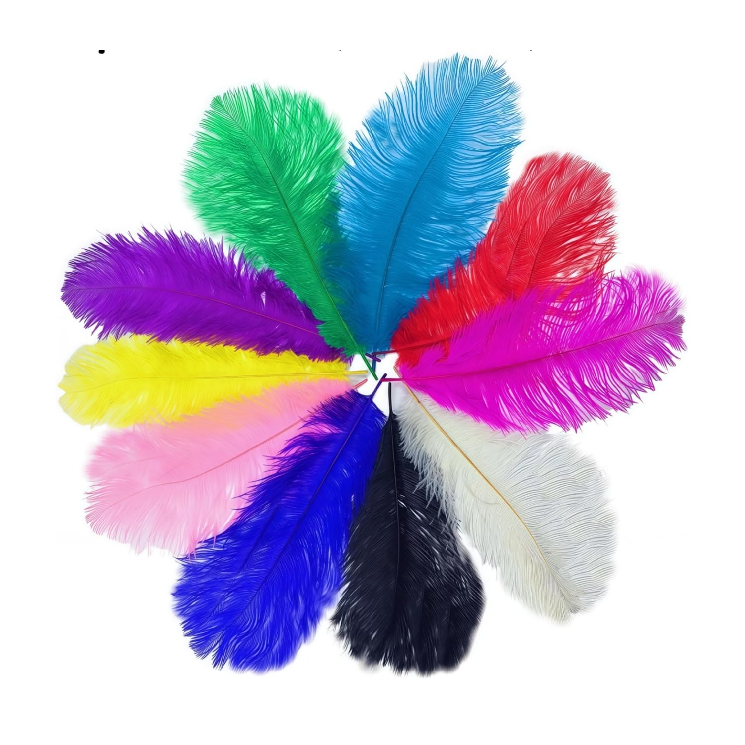 Photo 1 of 10pcs Colorful Ostrich Feathers Long 8-10inch (20-25cm) Natural Feathers for Crafts Carnival Masks Brazilian Clothing Decoration Party Wedding DIY Feathers Headwear Making(Colorful, 8-10inches)