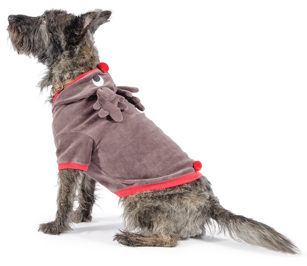 Ancol Cute Reindeer Suit for Your Dog, X-Small, 25 cm, Clear