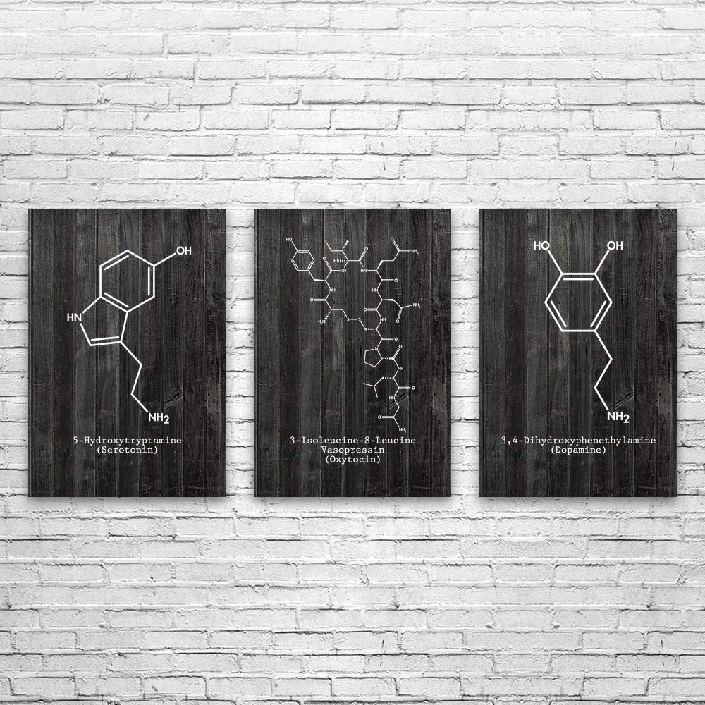 Patent Earth Neurotransmitter Molecules Posters Set of 3, Serotonin, Oxytocin, Dopamine, Scientist G