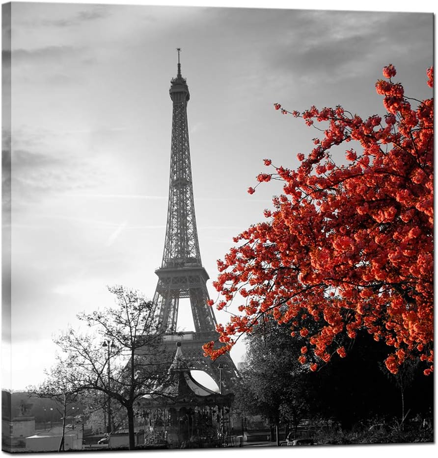 Amazon Com Sechars Canvas Prints Wall Art Black And White