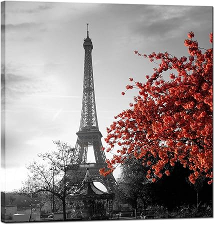 Amazon Com Sechars Lienzo Impreso En Lienzo De Pared Blanco Y Negro Torre Eiffel Roja Flor En Lienzo Arte Paris Decoraciones De Pared Para Sala De Estar Dormitorio Decoracion De Obras De
