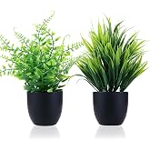 GREENTIME 2 Pack Fake Plants in Black Pot Small Artificial Plant | Wheat Grass for Home Decor Faux Fern Greenery Indoor Bathroom Shelf Home Office Desk Bedroom Cabinet Kitchen Table Decor